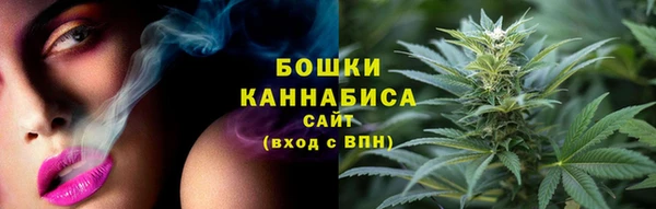 шишки Нея