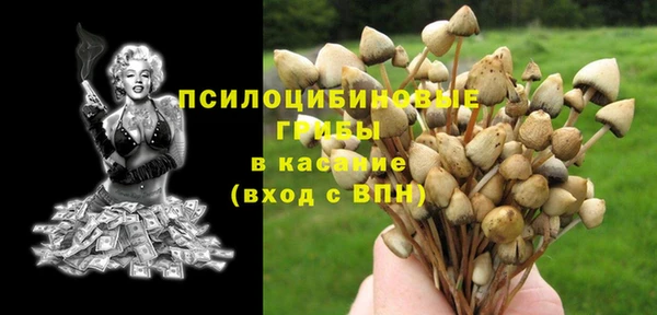 шишки Нея