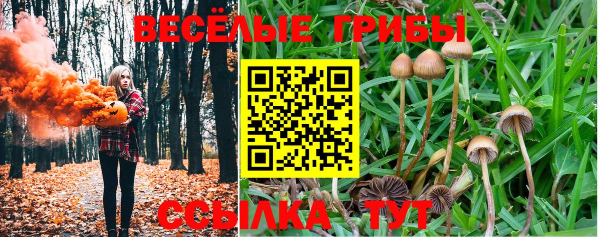 Псилоцибиновые грибы MAGIC MUSHROOMS  Псилоцибиновые грибы ЛСД  Златоуст  как найти закладки  Вход с VPN 