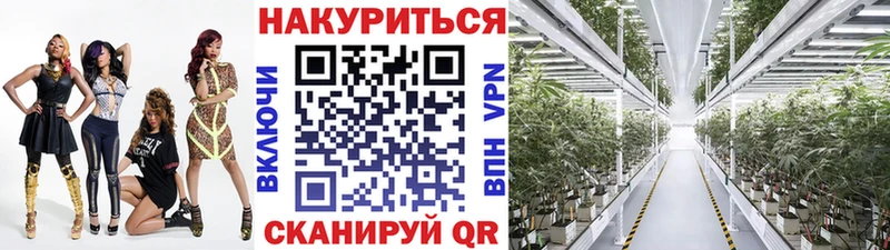 Конопля AK-47  купить закладку  mega маркетплейс  Златоуст 